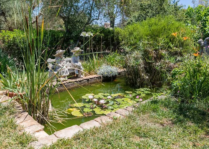 Il Trullo Di Martino Vakantiehuis *